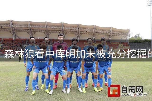 森林狼看中库明加未被充分挖掘的防守能力